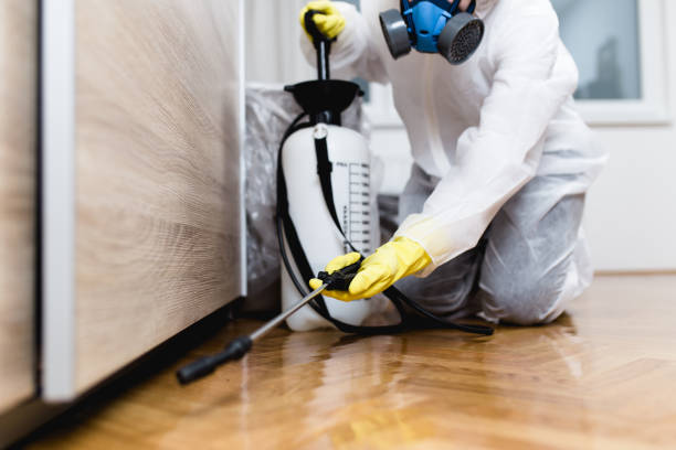 Best Mosquito Control Services  in Ferndale, PA