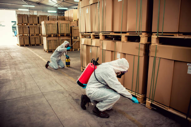 Wasp Removal Services in Ferndale, PA