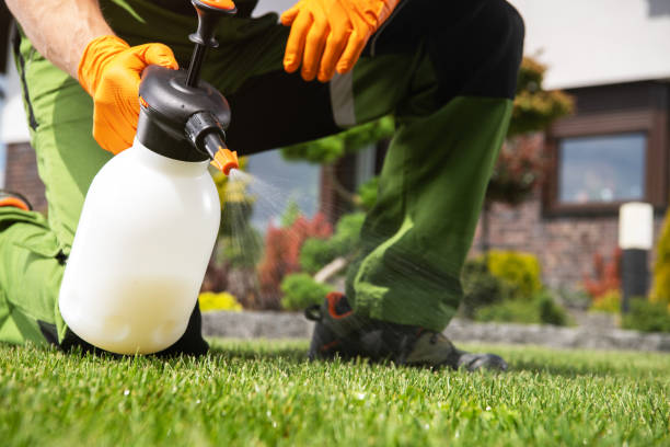 Best Best Pest Control Companies  in Ferndale, PA