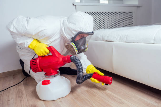 Best Exterminator Services  in Ferndale, PA
