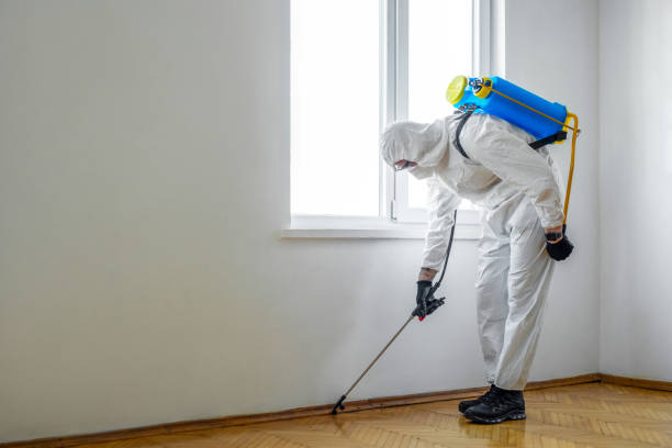 Best Insect Control  in Ferndale, PA