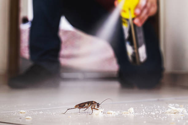 Trusted Ferndale, PA Pest Control Experts