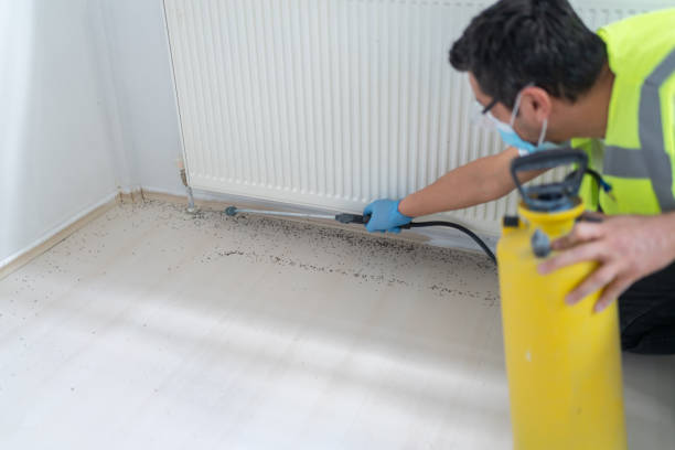 Trusted Ferndale, PA Pest Control Experts